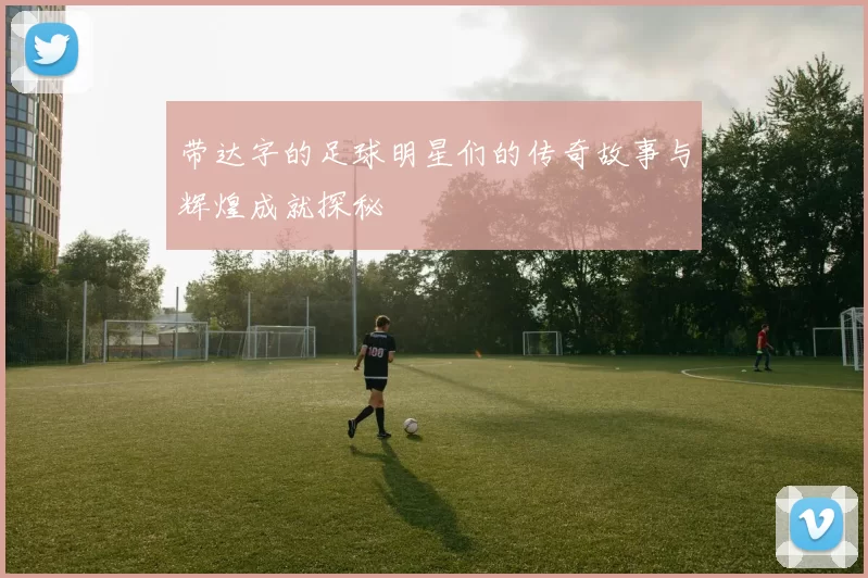 带达字的足球明星们的传奇故事与辉煌成就探秘