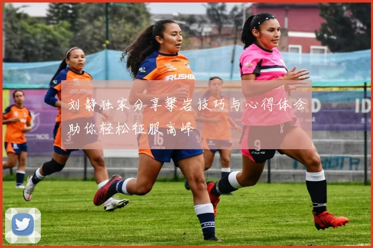刘静独家分享攀岩技巧与心得体会助你轻松征服高峰