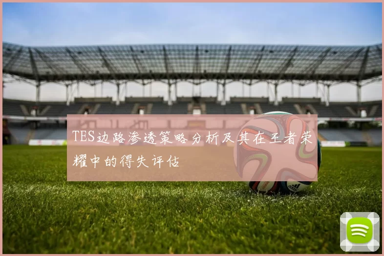 TES边路渗透策略分析及其在王者荣耀中的得失评估