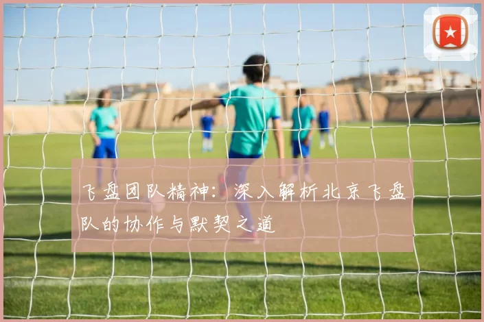 飞盘团队精神：深入解析北京飞盘队的协作与默契之道