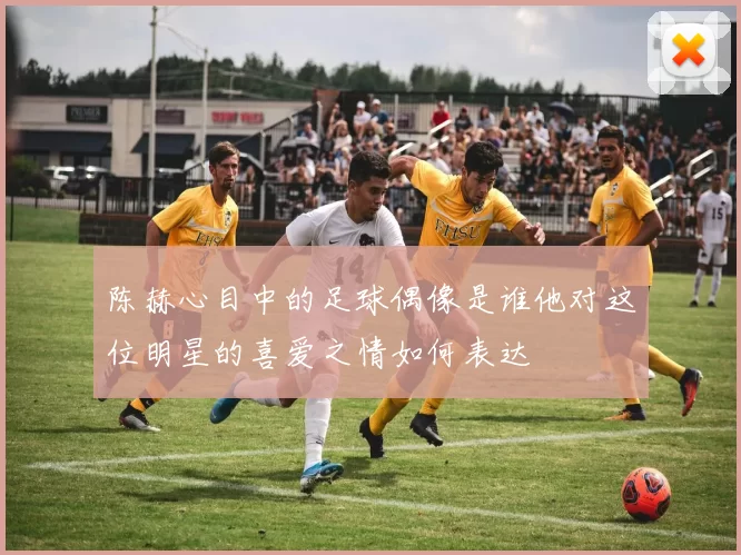 陈赫心目中的足球偶像是谁他对这位明星的喜爱之情如何表达