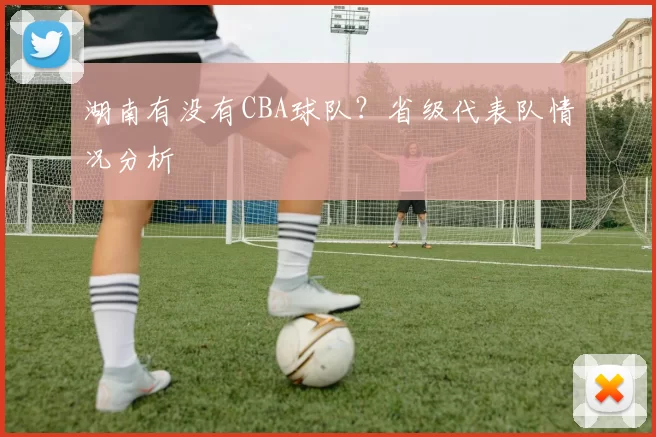 湖南有没有CBA球队？省级代表队情况分析