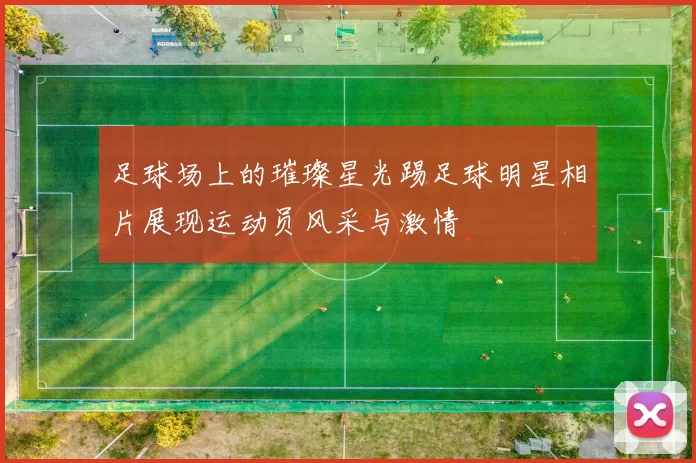 足球场上的璀璨星光踢足球明星相片展现运动员风采与激情