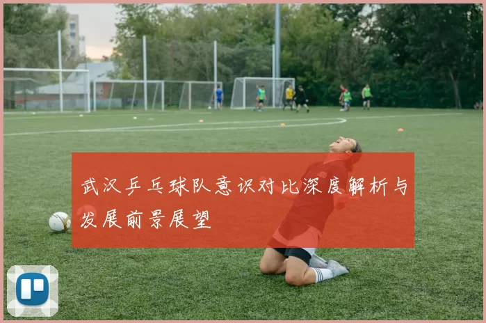 武汉乒乓球队意识对比深度解析与发展前景展望