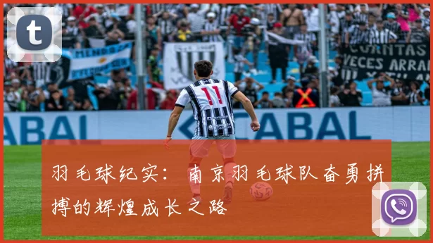 羽毛球纪实：南京羽毛球队奋勇拼搏的辉煌成长之路