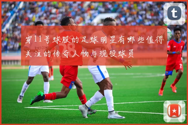 穿11号球服的足球明星有哪些值得关注的传奇人物与现役球员