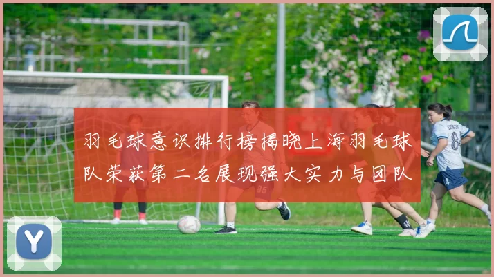 羽毛球意识排行榜揭晓上海羽毛球队荣获第二名展现强大实力与团队合作