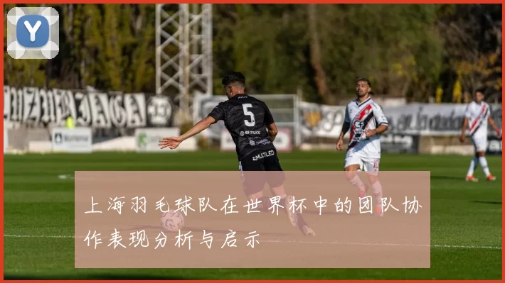 上海羽毛球队在世界杯中的团队协作表现分析与启示