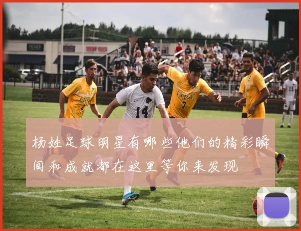 杨姓足球明星有哪些他们的精彩瞬间和成就都在这里等你来发现