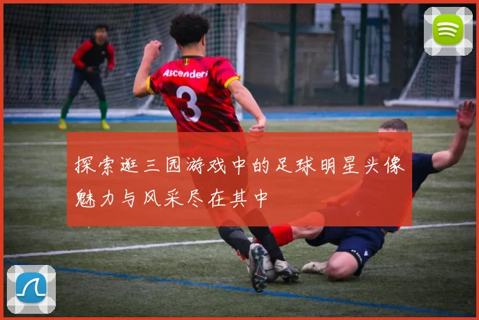探索逛三园游戏中的足球明星头像魅力与风采尽在其中