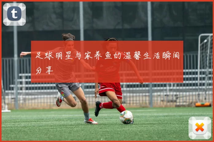 足球明星与家养鱼的温馨生活瞬间分享