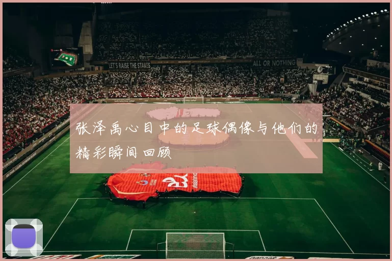 张泽禹心目中的足球偶像与他们的精彩瞬间回顾