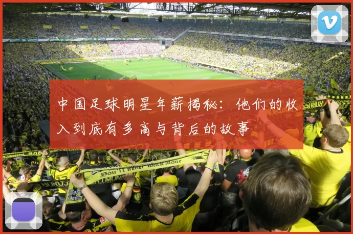 中国足球明星年薪揭秘：他们的收入到底有多高与背后的故事