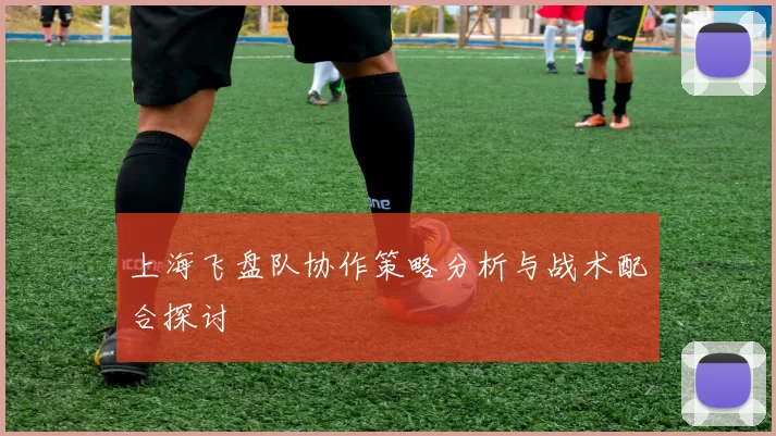 上海飞盘队协作策略分析与战术配合探讨