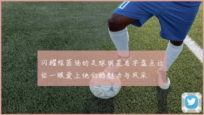 闪耀绿茵场的足球明星名字盘点让你一眼爱上他们的魅力与风采