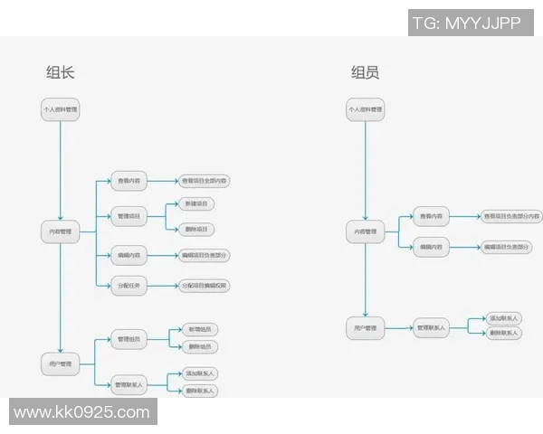 北京飞盘队的战术控制与团队协作解析