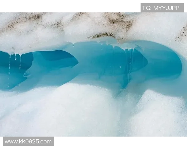 中时新闻网报道：全球气候变暖加剧 台湾应对策略与挑战分析